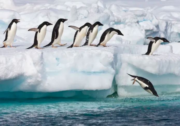 Giải mã thế giới bí ẩn dưới lớp băng Nam Cực