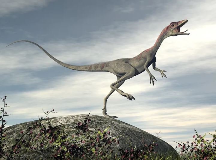 Khủng long nào chạy nhanh nhất? Câu trả lời bất ngờ từ khoa học hiện đại