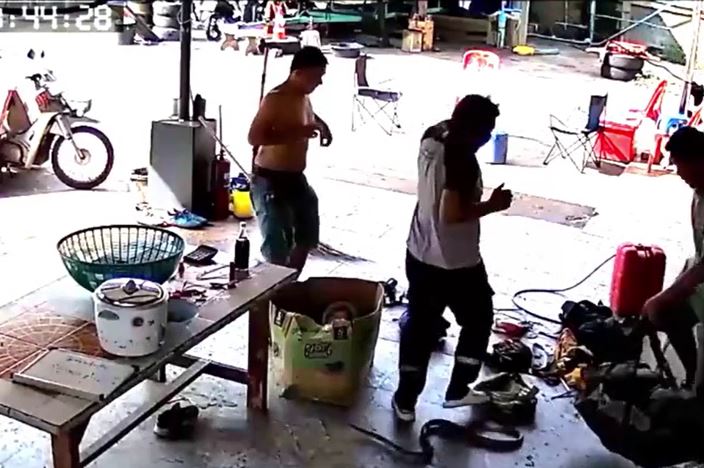 CLIP: Rắn khổng lồ bất ngờ xuất hiện tại trạm cứu thương, 3 nhân viên y tế hoảng loạn bỏ chạy