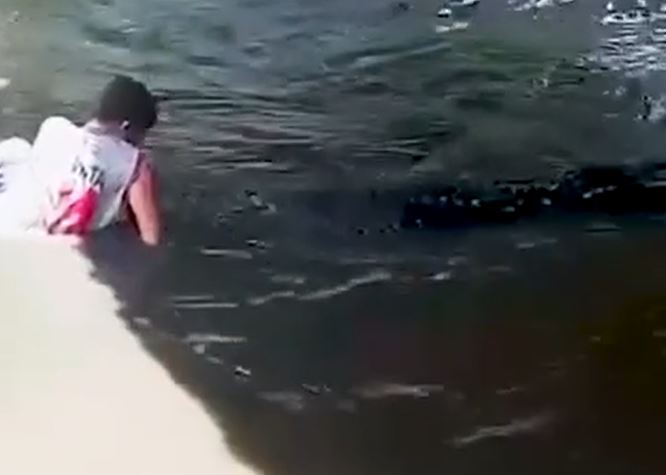 CLIP: Liều lĩnh chụp ảnh với cá sấu, nam du khách bị tấn công và phải khâu hơn 50 mũi