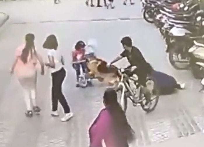 CLIP: Đang đạp xe ở sân chung cư, bé gái 6 tuổi bị chó becgie tấn công và màn giải cứu gay cấn
