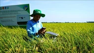Điểm tựa kinh tế nông nghiệp Việt Nam - Bài cuối: 'Hạt ngọc trời' vươn mình trong kỷ nguyên mới