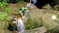 Loại ốc ven suối có hương vị lạ, chỉ xuất hiện vào ban đêm, dân thi nhau rọi đèn bắt, giá cả lên đến 100.000 đồng/kg