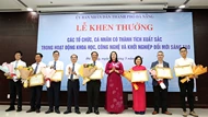 Đạt giải Vifotec, Điện lực Đà Nẵng nhận Bằng khen của chủ tịch thành phố