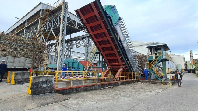 Chủ tịch VSSA: Chuỗi liên kết mía đường có nguy cơ bị huỷ hoại bởi đường lậu