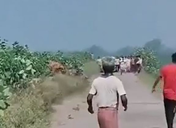 CLIP: Hổ dữ lao ra khỏi bụi rậm tấn công người đàn ông, dân làng hoảng loạn bỏ chạy