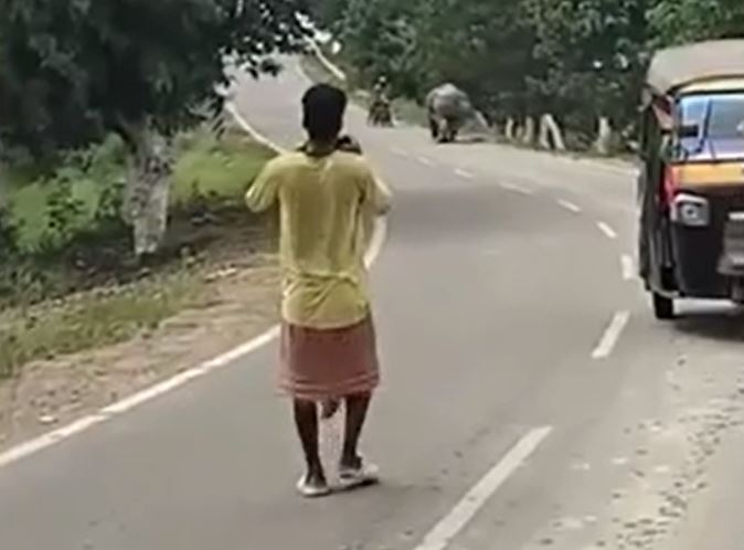 CLIP: Tê giác hoang dã bất ngờ truy đuổi và giẫm tử vong người đi xe máy