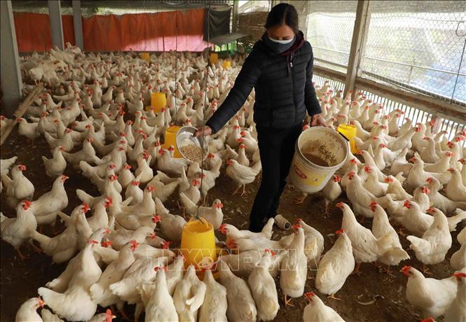 Đề xuất giảm từ 20 - 50% phí, lệ phí trong nông nghiệp và môi trường
