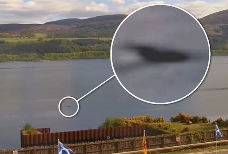 Nghi vấn Nessie sinh con? Thợ săn sửng sốt ghi lại hình ảnh sinh vật 'trẻ vị thành niên' có cổ dài tại hồ Loch Ness