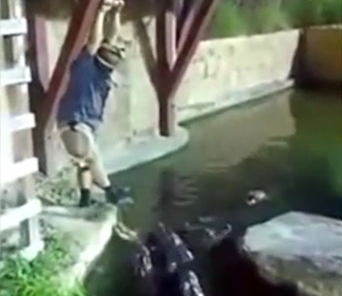 CLIP: Đang đu bị đứt dây thừng, người đàn ông rơi xuống hồ đầy cá sấu và cái kết 'thót tim'