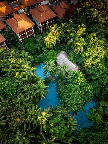 Khu vườn nhiệt đới Lagoon nhìn từ trên cao Khu vườn nhiệt đới Lagoon nhìn từ trên cao