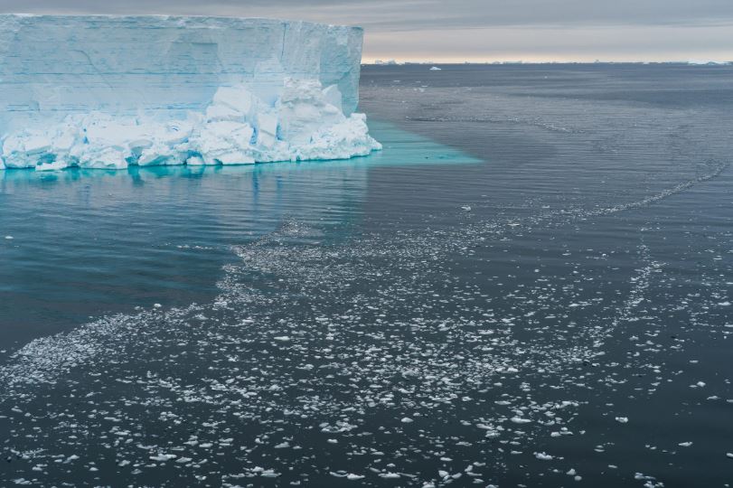 Tảng băng khổng lồ ở Nam Cực vỡ ra, hé lộ một hệ sinh thái bí ẩn chưa từng được con người nhìn thấy