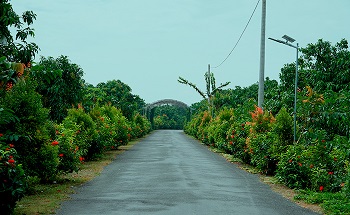 Mô hình 'Làng thông minh' góp phần phát triển kinh tế số, xã hội số ở Đồng Tháp
