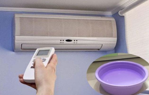 Bí quyết đơn giản nhưng hiệu quả: Vì sao nhiều người đặt chậu nước trong phòng khi bật điều hòa?