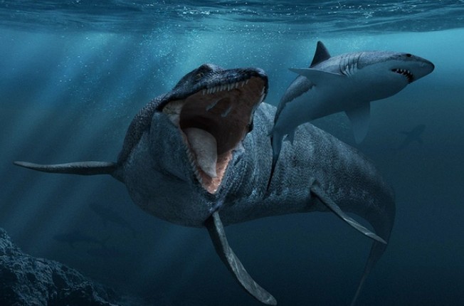 Ph&#xE1;t hi&#x1EC7;n ch&#x1EA5;n &#x111;&#x1ED9;ng &#x1EDF; Mississippi: H&#xF3;a th&#x1EA1;ch &quot;r&#x1ED3;ng bi&#x1EC3;n&quot; kh&#x1ED5;ng l&#x1ED3; tr&#x1ED3;i l&#xEA;n t&#x1EEB; l&#xF2;ng su&#x1ED1;i