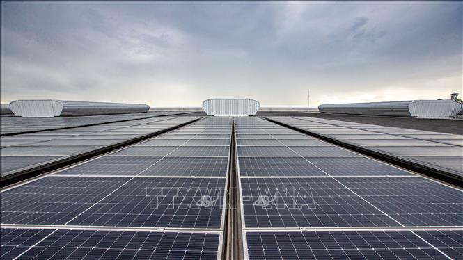 Mỹ có thể áp thuế cao lên pin Mặt Trời nhập khẩu từ Đông Nam Á
