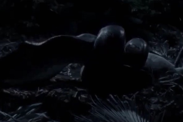 CLIP: Trăn gấm phục kích trong đêm, cú siết tử thần đoạt mạng nai tơ