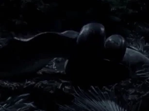CLIP: Trăn gấm phục kích trong đêm, cú siết tử thần đoạt mạng nai tơ