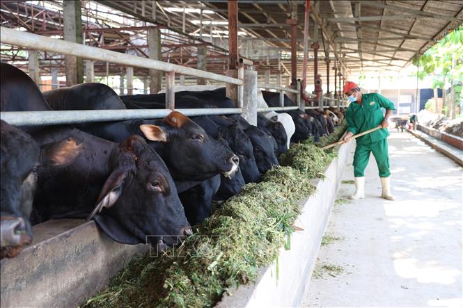 R&#xFA;t ng&#x1EAF;n kho&#x1EA3;ng c&#xE1;ch gi&#x1EEF;a nh&#xE0; s&#x1EA3;n xu&#x1EA5;t v&#xE0; ng&#x1B0;&#x1EDD;i ti&#xEA;u d&#xF9;ng s&#x1EA3;n ph&#x1EA9;m n&#xF4;ng s&#x1EA3;n&#xD;&#xA;