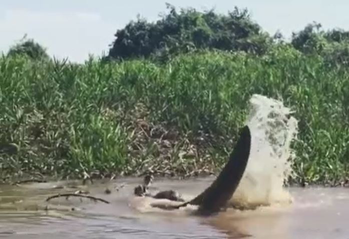 CLIP: B&#xE1;o &#x111;&#x1ED1;m ch&#x1ED9;t m&#x1EAF;t phi xu&#x1ED1;ng s&#xF4;ng t&#xF3;m g&#x1ECD;n c&#xE1; s&#x1EA5;u trong t&#xED;ch t&#x1EAF;c