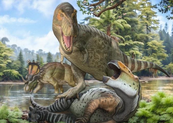 Tổ tiên của khủng long T. rex vượt cầu đất cổ từ châu Á, làm nên 'vương triều khủng long' ở Bắc Mỹ