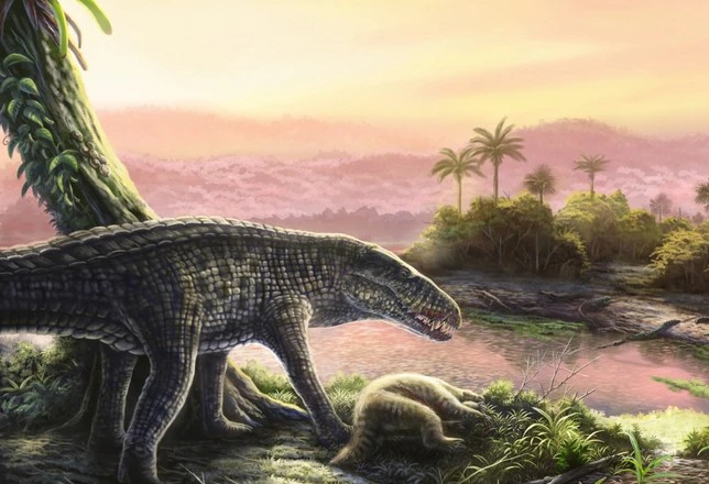 Lộ diện "quái vật ăn thịt đỉnh cao" tại Caribe: Dấu vết của cây cầu cổ nối liền các hòn đảo