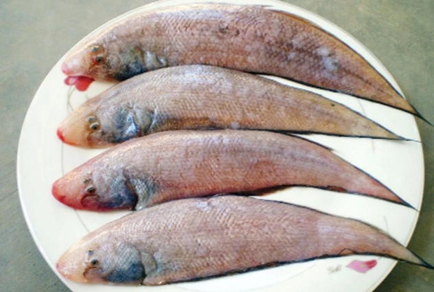 Ảnh minh họa.