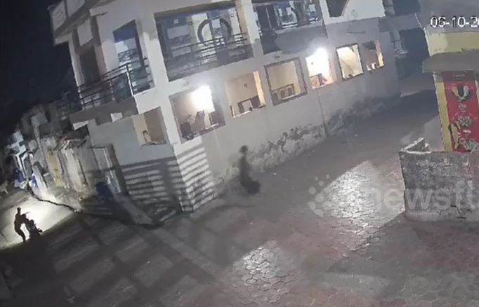 CLIP: Chạm trán sư tử trên đường, 2 người đàn ông vứt xe bỏ chạy