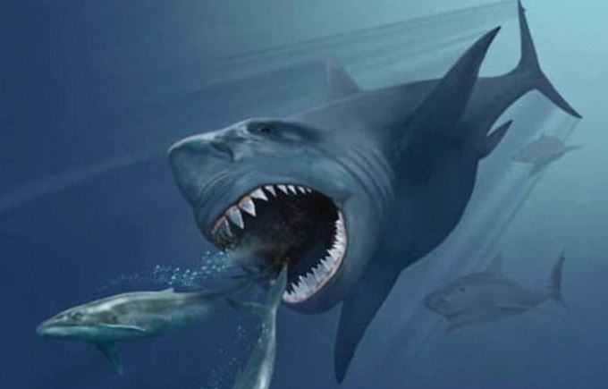 Bí ẩn về bữa ăn của quái vật Megalodon được hé lộ: Không chỉ săn cá voi như ta từng nghĩ