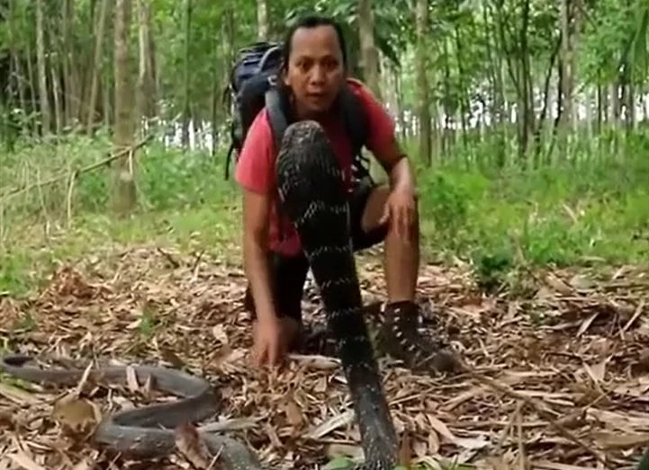 Ảnh cắt từ clip.