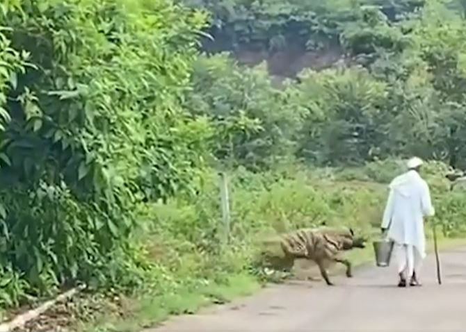 CLIP: Đang đi đường, ông cụ bị linh cẩu lao ra tấn công và màn giải cứu khiến người xem 'thót tim'