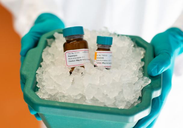 'Cocktail' chống lão hóa kéo dài tuổi thọ chuột thêm 30%, mở ra hy vọng mới cho tuổi già khỏe mạnh