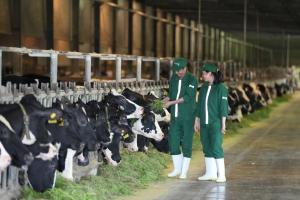 ESG: Chìa khóa cạnh tranh dài hạn của doanh nghiệp xanh