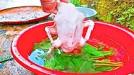 Mẹo vặt sạch lông vịt siêu tốc nhờ thứ lá bỏ đi này