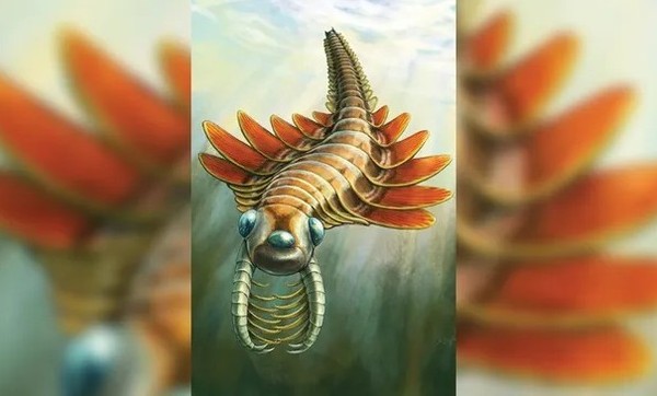 Phát hiện sinh vật biển cổ đại 3 mắt kỳ lạ: “Thở bằng… mông”