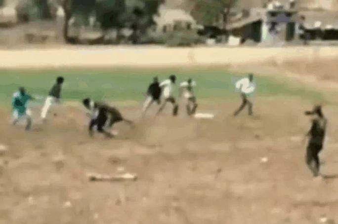 CLIP: Vừa được giải cứu, báo hoa mai đã lao lại tấn công ân nhân