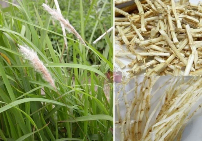 Ảnh minh họa. Ảnh minh họa.