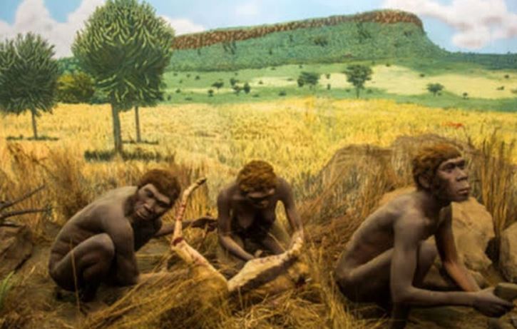 Nếu những sinh vật cổ đại này không biến mất, có lẽ con người đã không tồn tại