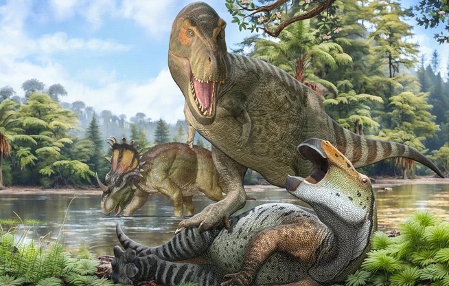 Bí ẩn T-rex "phình to" thành bạo chúa được giải mã