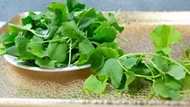 Rau má “kem chống nắng tự nhiên” từ bờ ruộng, giúp tăng sinh collagen, làm đẹp da nhưng không dành cho tất cả