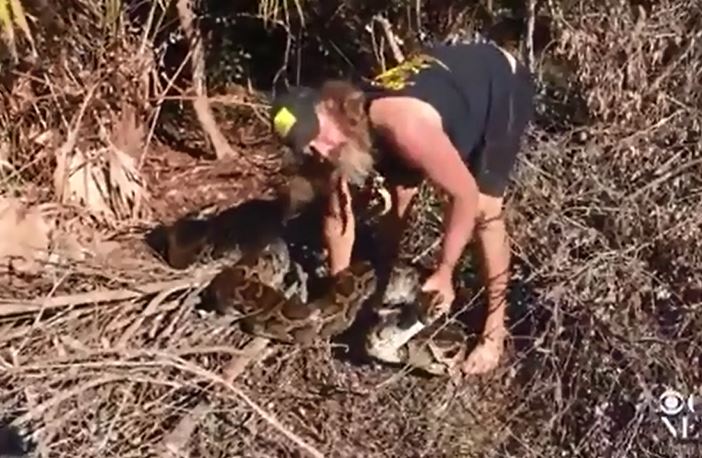 CLIP: Rợn người cảnh người đàn ông tay không tóm gọn trăn khổng lồ nặng 70kg