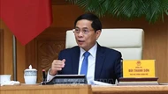 Phó Thủ tướng Bùi Thanh Sơn tiếp chuyên gia, nhà khoa học Tổ chức Khoa học và Chuyên gia Việt Nam toàn cầu