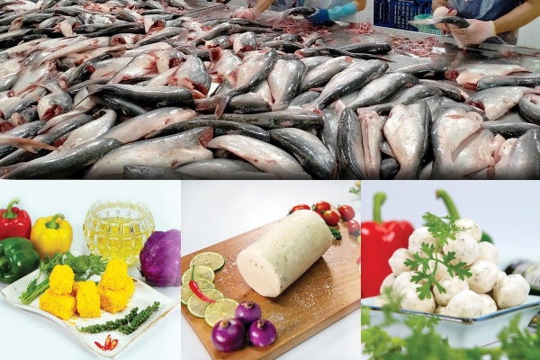 Khai thác 'mỏ vàng' mới cho cá tra