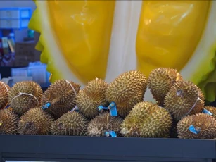 Sầu riêng Việt Nam ngày càng được ưa chuộng tại Trung Quốc