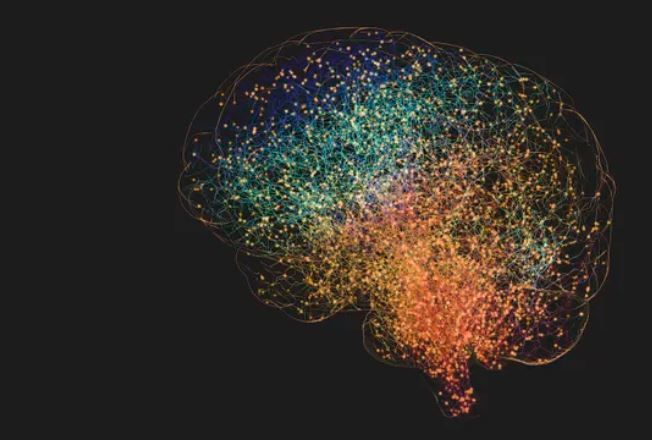 Người lớn có thể phát triển tế bào não mới không?