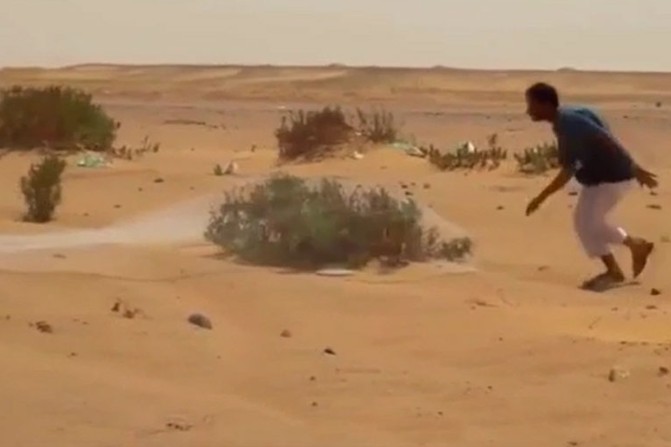 CLIP: Lạ lùng cảnh trai Ả Rập mang chài ra sa mạc… săn chim