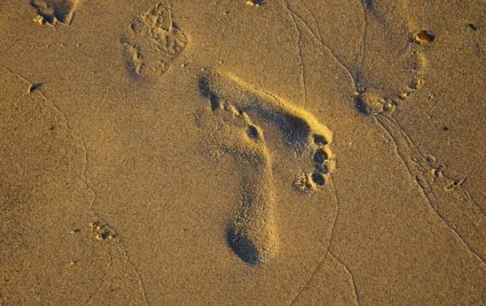 Bí ẩn dấu chân 'ma quái' ở sa mạc Utah: Hiện ra khi mưa, biến mất dưới nắng