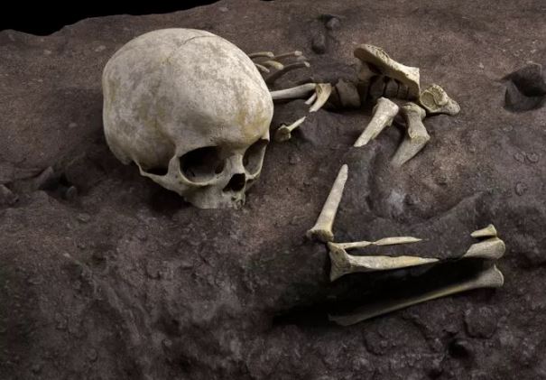 Bí ẩn khoảng trống 130.000 năm trong lịch sử tiến hóa loài người: Do thảm họa thiên nhiên hay sự can thiệp của người ngoài hành tinh?