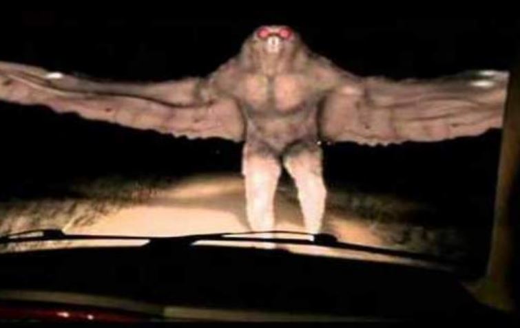 Bí ẩn quái vật Mothman: Truyền thuyết đô thị hay sinh vật chưa được khám phá?
