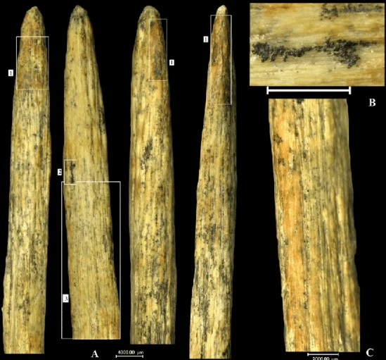 Mũi giáo xương được tìm thấy ở Nga, chụp theo các góc độ khác nhau - Ảnh: Journal of Archaeological Science Mũi giáo xương được tìm thấy ở Nga, chụp theo các góc độ khác nhau - Ảnh: Journal of Archaeological Science
